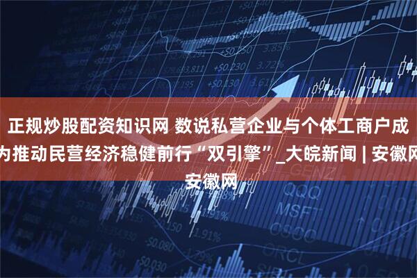 正规炒股配资知识网 数说私营企业与个体工商户成为推动民营经济稳健前行“双引擎”_大皖新闻 | 安徽网