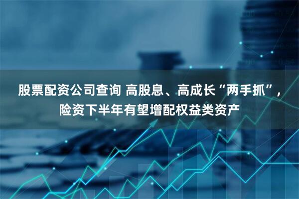 股票配资公司查询 高股息、高成长“两手抓”，险资下半年有望增配权益类资产